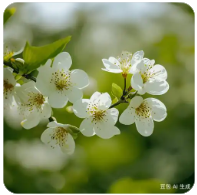 金正恩视角下的韩国：彻底的敌国与永远的敌人生存状态