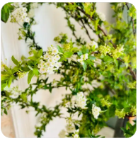 三峡水运新通道：国家战略下的航运新篇章