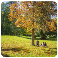 三峡水运新通道：国家战略下的航运新篇章