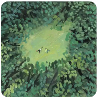 三峡水运新通道：国家战略下的航运新篇章