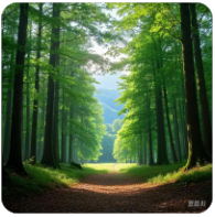 三峡水运新通道：国家战略下的航运新篇章