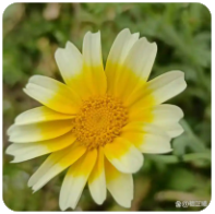 金正恩视角下的韩国：彻底的敌国与永远的敌人生存状态