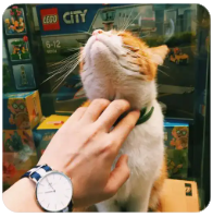 三峡水运新通道：国家战略下的航运新篇章