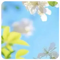 叶祖新顾玉拜别