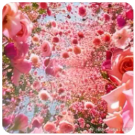 金正恩视角下的韩国：彻底的敌国与永远的敌人生存状态