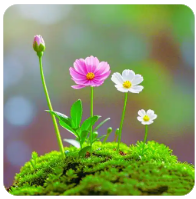 三峡水运新通道：国家战略下的航运新篇章